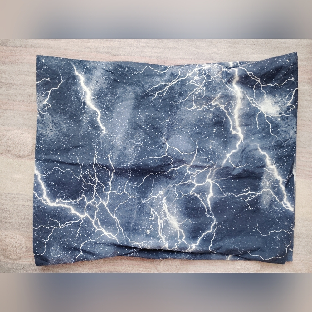 ⚡ 🌩️ Lightening Print Dark Stormy Sky Shams X2 Pottery Barn Teen NWOT
